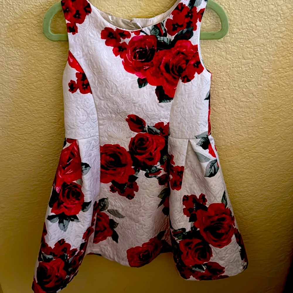 Toddler young girl dress